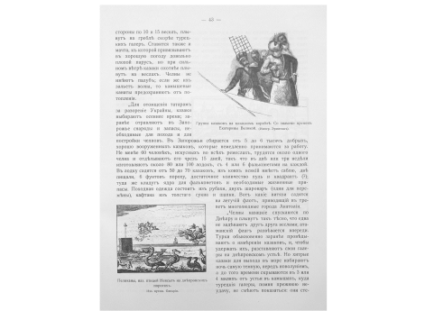 Пеликаны, наз.птицей Неясыть на днепровских порогах.