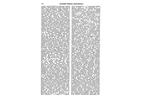 Форма обмундирования 7-го гус. Белорусского полка. Рядовой и трубач 1803-09гг.