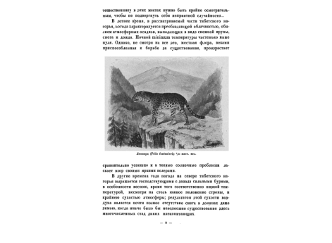 Леопард (Felis fontanieri); 1/30 настоящей величины.