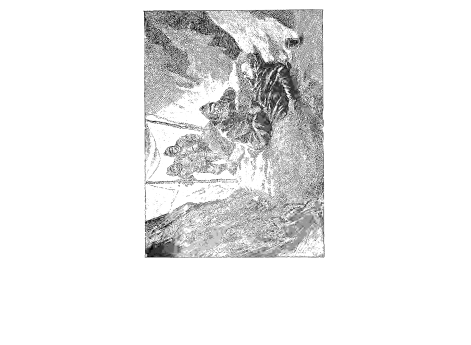 Смерть Беринга.