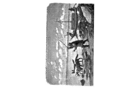 Тяга лодки собаками.