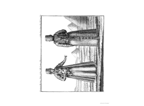 Том I. Таб. VIII. B. стр.574.