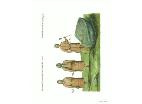 Том III. Таб.III. Стр. 91.