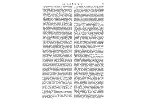 Рис.18. Нидерландский полуполк.