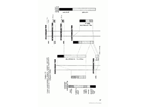 График IV. Схема хозяйственного оборота среднего крестьянского хозяйства Старобельского уезда, Харьковской губернии (1910).