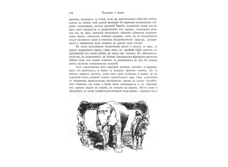 Китаец-рыболов с бакланами.