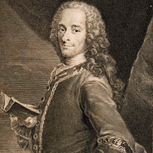 Уничтожена «Философия истории» Вольтера