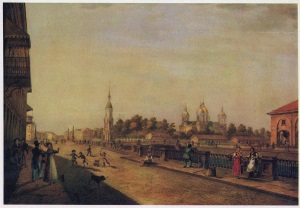 Имеется в шкафах большое количество книг, из числа коих найдены весьма сомнительными, почему оные и отобраны